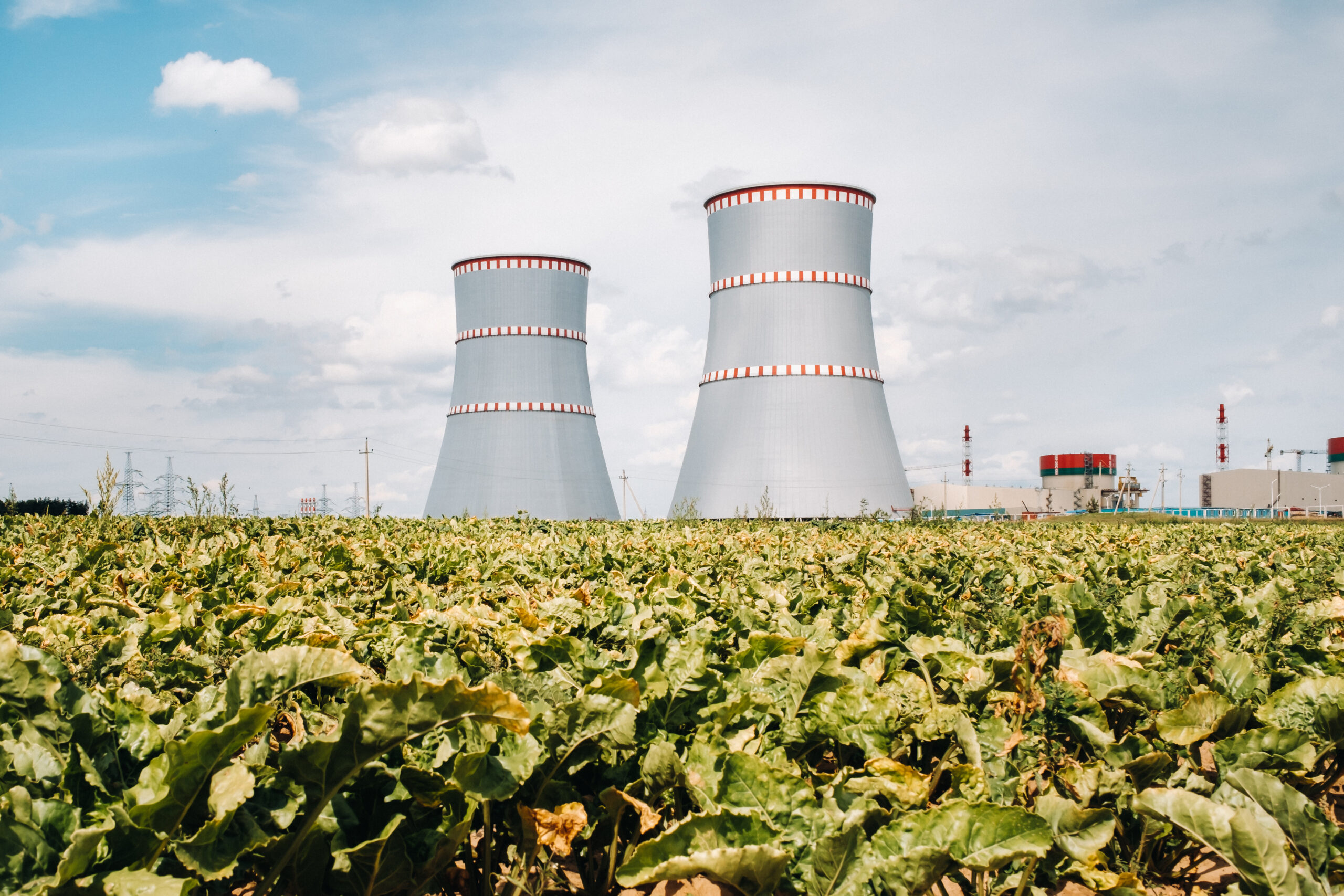 Two large cooling towers of a power plant standing behind a green crop field.