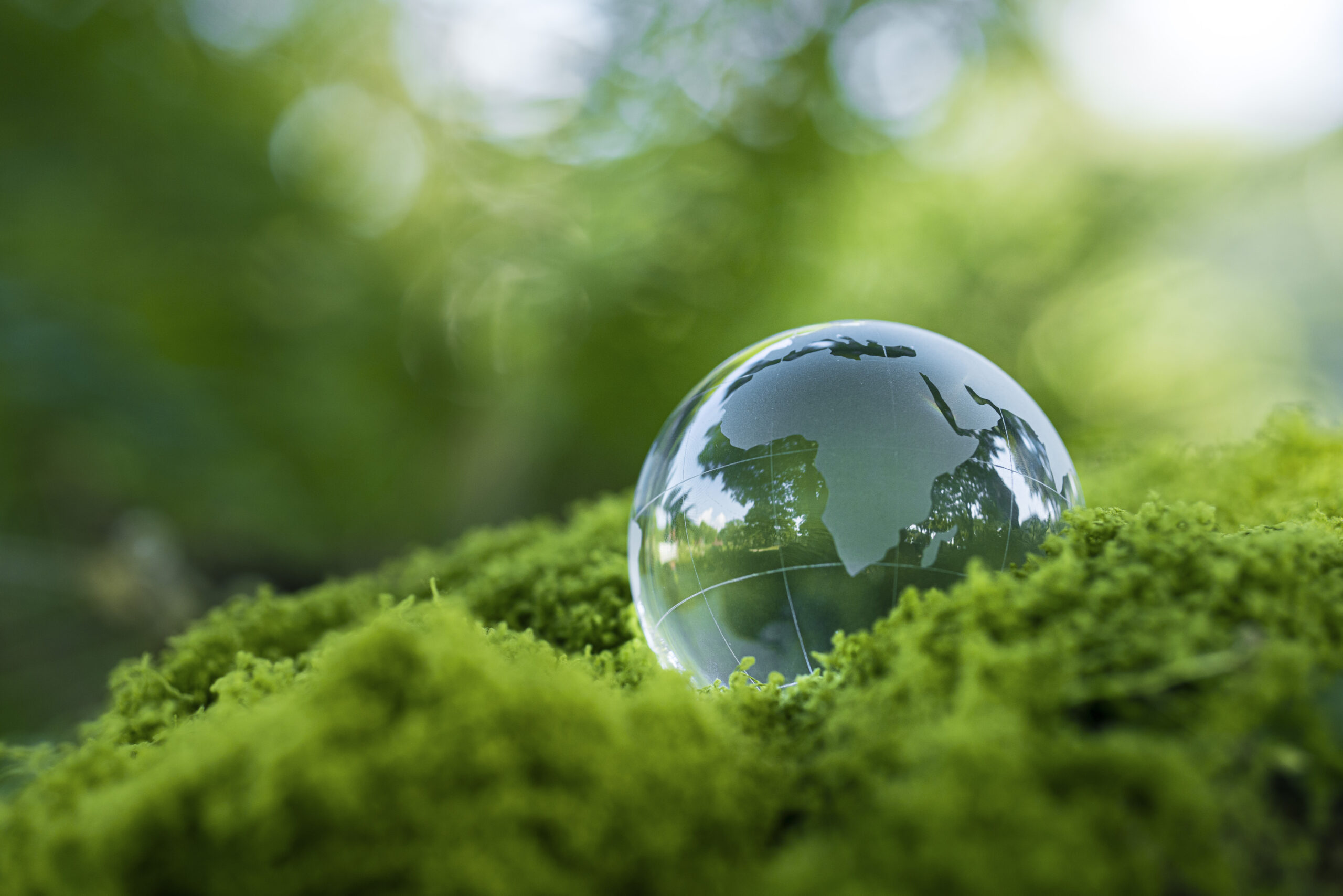 Crystal ball on moss in green forest - environment esg concept, ecology and sustainable environment