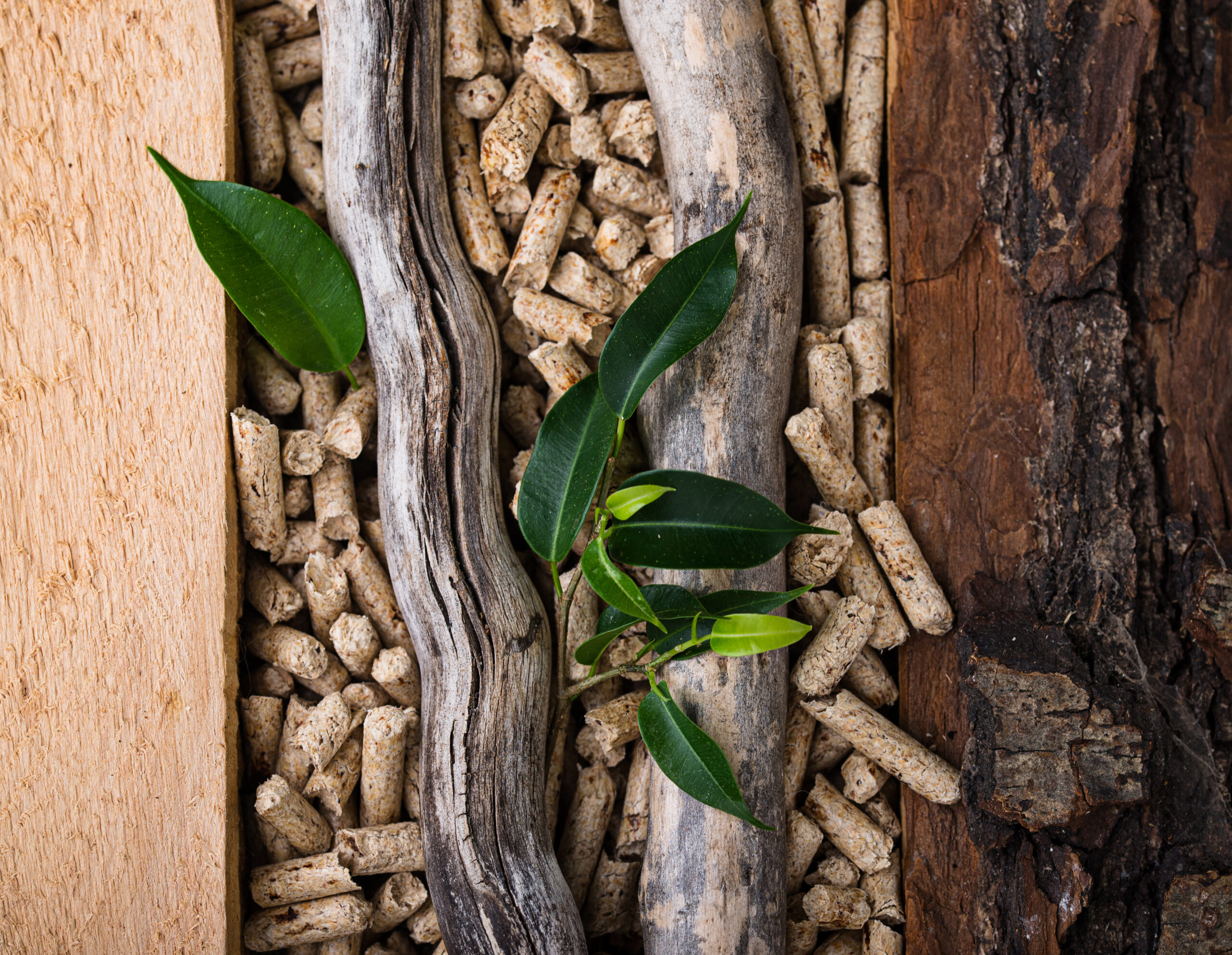 Wooden pellets with logs and leaves placed on top of them.