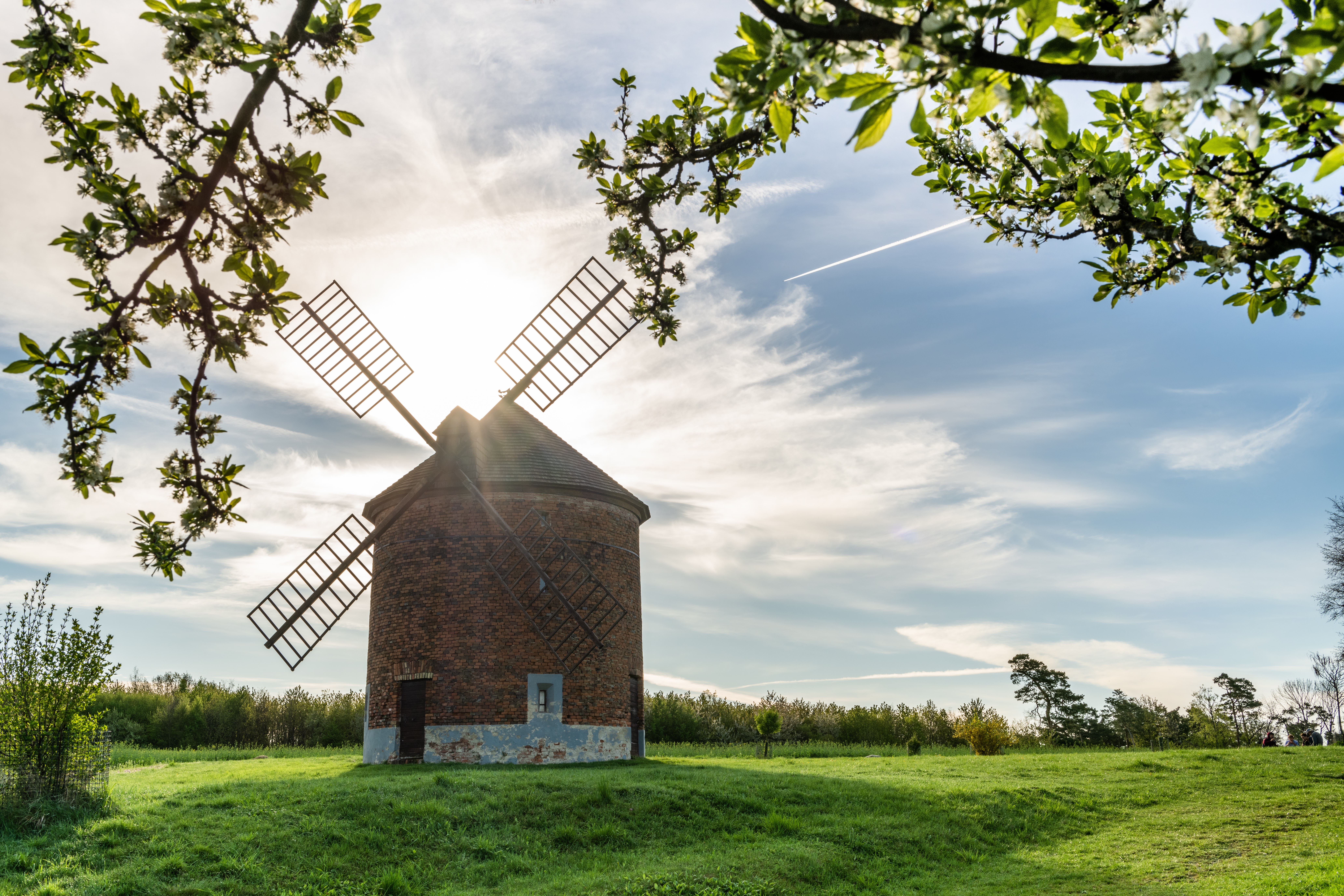 historic windmill in czech village surrounded by spring blossoms