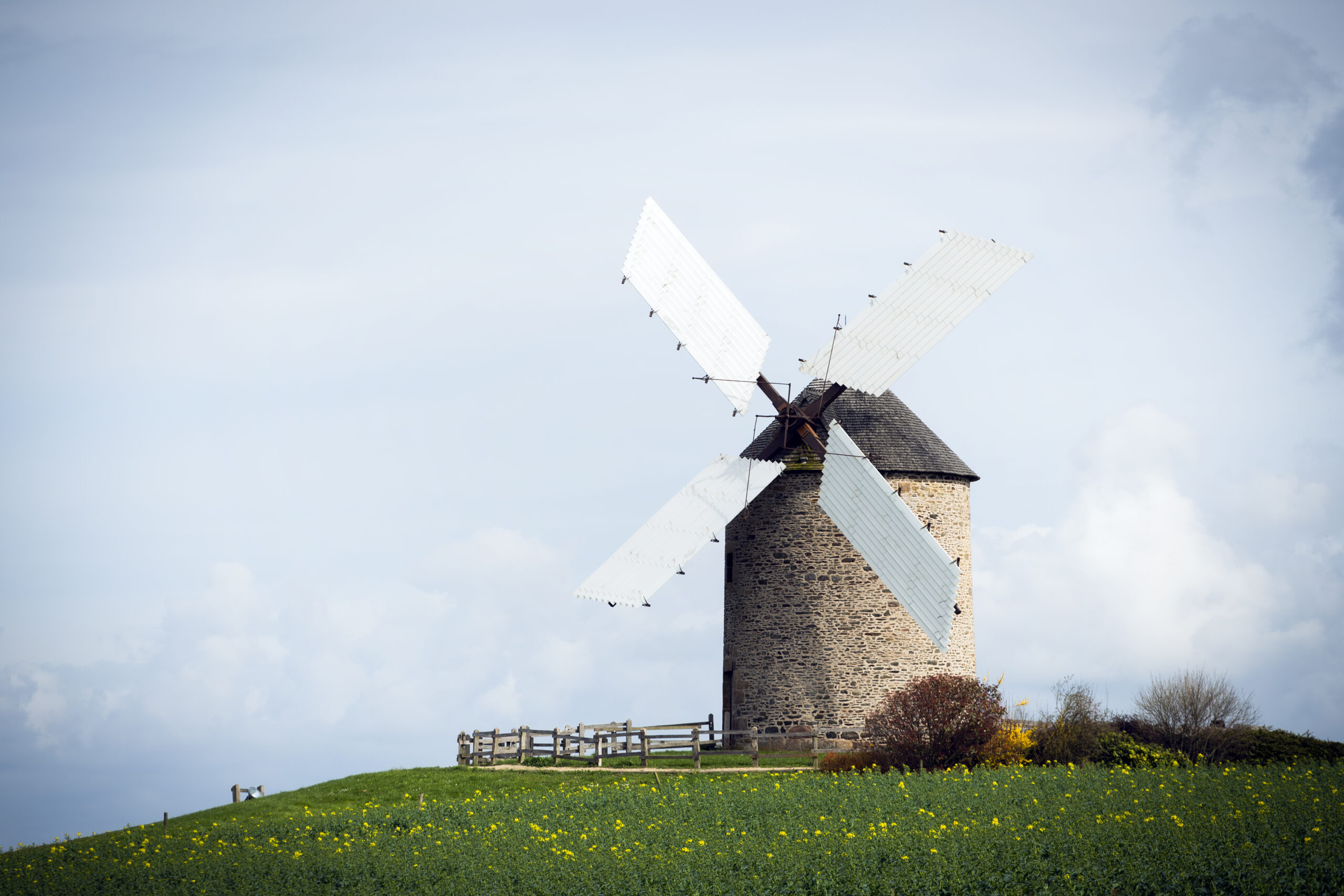 Traditional windmill on a grassy hill with yellow flowers and a cloudy sky